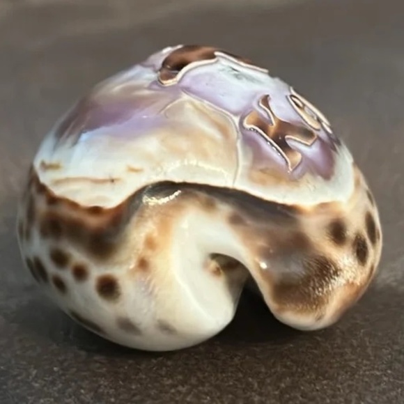 “Key West 2010” engraved sea shell - Picture 7 of 12